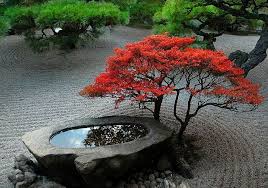 30 ideas to create a japanese zen garden create garden ideas japanese zen jardin zen japonais jardin japonais jardin zen