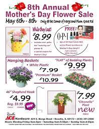 Once you select an annual report, you will be able to view and download the entire file for free. 8th Annual Mother S Day Flower Roselle Ace Hardware Facebook