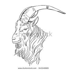 Hand Drawn Goat Head With Big Horns In Line Art Style Vector Sketch How To Draw Hands Goats Vector Sketch