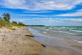 Sand and pearl oysters bar, pour un party d'huîtres. Our Tips For Discovering Sandbanks In The Summer Of 2021 Milesopedia