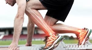 Maestría en Formación Permanente en Lesiones Traumatológicas en el Deporte