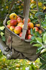 Jardiner Avec La Lune En Septembre 2018 Calendrier Lunaire Detente Jardin Recolte Jardinage Detente Jardin