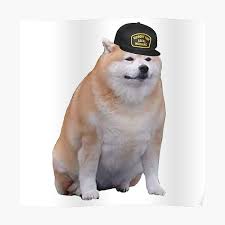More fat doge memes… this item will be deleted. Fat Doge Posters Redbubble