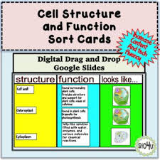 Cell Structure Function Sort Is A Fun Digital Drag And Drop That Is Appropriate For 9th Or 10th Grade Biology Studen In 2020 Structure And Function Cell Structure Cell