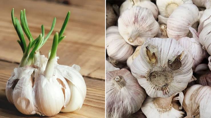 Đi mua tỏi thấy 4 loại này rẻ mấy cũng không mua, ăn vào càng thêm hại