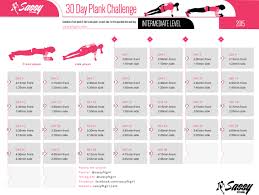 Sassy Fit Girl 30 Day Plank Challenge Beginner Level I