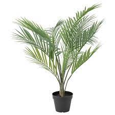 Ikea Fejka Artificial Potted Plant Indoor Outdoor Areca Palm Artificial Potted Plants Plants Water Plants