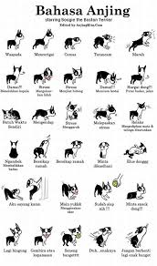 Bahasa Tubuh Anjing Komik Anjing Anjingkita Com Bahasa Tubuh Anjing Piaraan