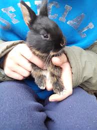 В) c'est l'adresse de le directeur la clinique le cinéma la pharmacie le professeur de ma fille les amis de sa sœur l'amie de nicole. Faire Un Don A Ferme Pedagogique De Paillac