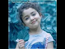 Best Whatsapp Attitude status By Vipul thakkar|Attitude Caption|Attitude  shayari|Attitude quotes|hin