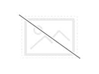 Members of the clan prefer working in the shadows and using guerilla tactics rather than open warfare. Northgard Svafnir Clan Of The Snake Komplett No