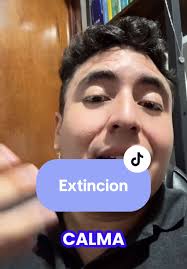 Pedro Arriaga (@afterbehavior)