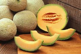 Dec 13, 2015 · after defeating ambrosia, go visit the clinic and speak to jones and nancy. Cantaloupes Planting Growing And Harvesting Cantaloupes Muskmelons The Old Farmer S Almanac