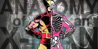 (both this one and the one above are by christopher hart, who is awesome and. Comic Book Resources On Twitter Xmen Anatomy The 5 Weirdest Things About Wolverine S Body Explained Https T Co Oeebr3ay57