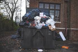 Do landlords pay for pest control? Landlord Responsibilities For Pest Control Property Division