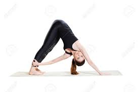 We did not find results for: Abwartsgerichteter Hund Variation Adho Mukha Svanasana Lizenzfreie Fotos Bilder Und Stock Fotografie Image 59703369