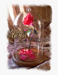 Well you're in luck, because here they come. Free Beauty And The Beast Rose In Glass Artificial Flower Hd Png Download Kindpng