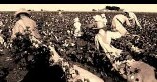 Sharecroppers And The Agricultural Adjustment Act Acting Cotton Deal