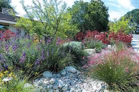 Drought Tolerant Garden California By Judith Carlson California Native Garden Water Wise Landscaping Native Plant Landscape