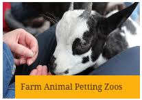 Happy tails mobile petting zoo has been sharing their animals with the twin cities since 2016. Mobile Petting Zoo Wild Things Zoofari