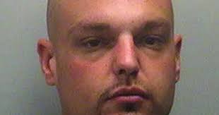 Dixon man pleads guilty to drug charges