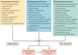 Different pathological conditions of the urinary organs. Postoperative Acute Kidney Injury In Adult Non Cardiac Surgery Joint Consensus Report Of The Acute Disease Quality Initiative And Perioperative Quality Initiative Nature Reviews Nephrology