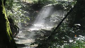 Ini adalah video tentang misteri sungai mahakam. Inilah 7 Misteri Sungai Mahakam Yang Penting Untuk Diketahui Apa Itu Zona Misteri