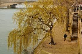 Paris Walk Along The Quays Quai Voltaire Port Des Saints Peres Quay Voltaire Paris