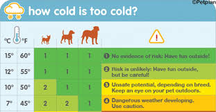 This Chart Tells You When Its Too Cold To Walk Your Dog