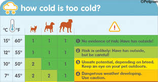 this chart tells you when its too cold to walk your dog