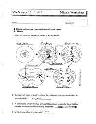 Maybe you would like to learn more about one of these? 31 Label The Following Diagram Of Mitosis Of An Animal Cell Label Design Ideas 2020