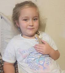 Guess the age of our bearded dragon?