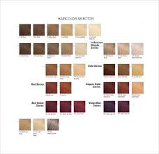 Free 8 Sample Hair Color Charts In Pdf