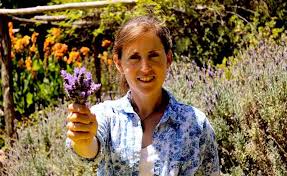 Business is blooming for lavendar farms