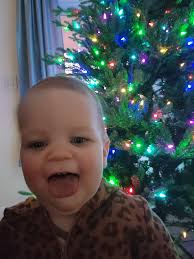 My 16 1/2 year old not so happy lady is ready for Christmas! 🎅🏼🎄