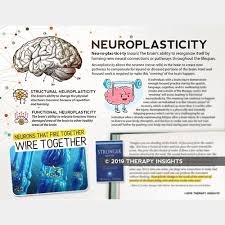 Rehab Ot Neuro Therapy Insights Ilovemygoattote Com Brain Nervoussystem Rightbrain Leftbrain Rehabilitation Health Literacy Neuroplasticity Handouts