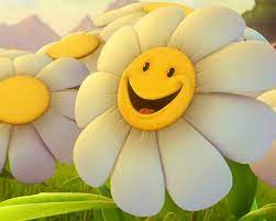 Download the background for free. Happy Smiling Daisy Flower Cute Wallpaper Happy Morning Happy Flowers Smiley
