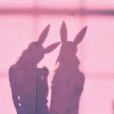 500 Pink Aesthetic Ideas In 2020 Pink Aesthetic Pink Aesthetic