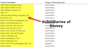 How to write a letter of relationship between holding company and subsidary company. Holding Company Parent Company Rights Responsibilities Examples