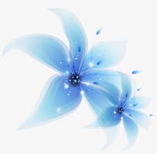 Blue and white flowers png. Bloom Flower Frame Border Flowers White Bouquet Light Blue Flowers Png Transparent Png 1024x1024 Free Download On Nicepng