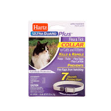 Click here to see our range. Hartz Ultraguard Plus Flea Tick Collar For Cats And Kittens Hartz