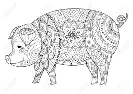 Pig coloring page to download and coloring. Drawing Pig For Coloring Book For Adult Or Other Decorations Royalty Free Cliparts Vectors And Stock Illustration Image 51326547