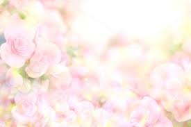 Soft Sweet Pink Flower Background In 2020 Pink Flowers Background Flower Backgrounds Flower Background Images