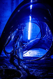 Bildergebnis für Joshua Serafin