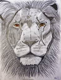 Gcse Art Final Piece By Pupil From Orleans Park School Art Gcse Art Animal Art