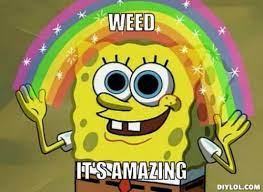 #petty #pic of the week #picoftheday #stoner pics #funny pics #picture #funny #katt williams send us some fan mail and some fan pics. Funny Stoner Pictures Home Facebook