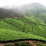 travel in darjeeling from www.makemytrip.com