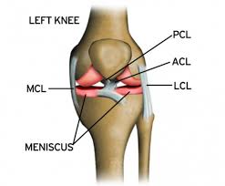 Basically acl is the integrated feature of ios software that is used to filter the network traffic passing through the ios devices. Anterior Cruciate Ligament Acl Injury My Physio Perth