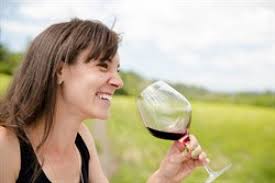 Mt. Beautiful Wines, New Zealand