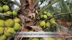 Ada banyak pangkat per golongan bagi pns di dalam instansi pemerintahan yang dibedakan dengan nama iii/c, ii/a, ii/b dan lainnya. Aminah Ahmad Cara Penulisan Karangan Fakta